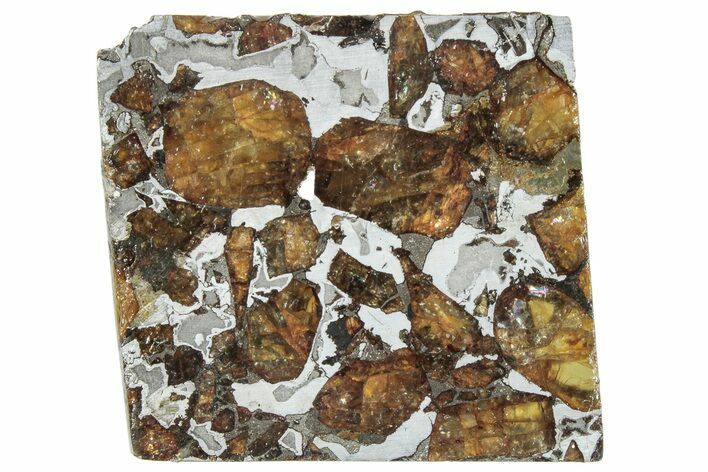 Brahin Pallasite Meteorite ( g) Slice - Belarus #291282